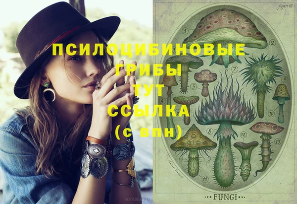 МДПВ Пролетарск