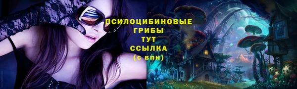 ПСИЛОЦИБИНОВЫЕ ГРИБЫ Алексеевка