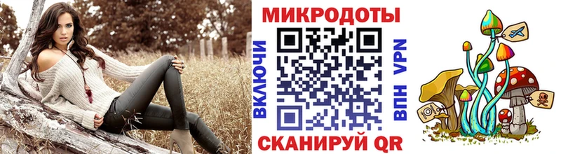 Псилоцибиновые грибы мицелий  Ковылкино 
